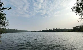 Nhiều dự án ở Hà Nội bị đề nghị thu hồi vì chậm triển khai