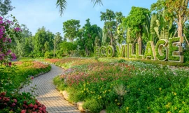 Giải bài toán thiếu thiên nhiên trong không gian sống của người Sài Gòn 