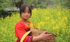Say đắm cảnh đẹp Lai Châu lúc giao mùa