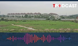 UBND huyện được quyết định giá đất trong những trường hợp nào?