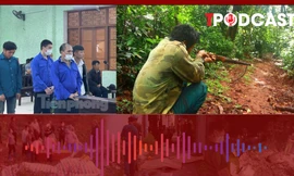 HÌNH SỰ: Bất ngờ bị hàng xóm phục kích rồi bắn chết trong đêm