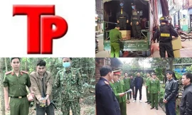 Bản tin Hình sự: Tình tiết rùng rợn vụ Á khôi bị bạn trai sát hại trong căn hộ rồi phân xác phi tang