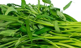 Loại rau vài nghìn/mớ ở Việt Nam sang nước ngoài giá siêu đắt, đếm từng cọng