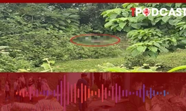 HÌNH SỰ: Phát hiện thi thể người đàn ông trong lùm cây dưới chân cầu