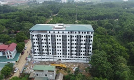 Chung cư mini xây 'chui' cả trăm căn hộ ở Thạch Thất: Xây chủ yếu trên đất trồng cây