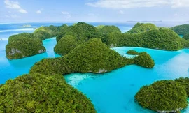 Ngây ngất sắc xanh tại đảo đá Palau