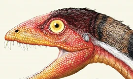 Lại phát hiện thêm khủng long mới