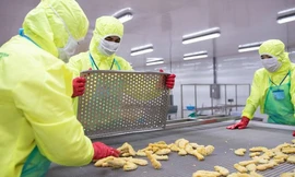 Xuất khẩu vượt 'hàng rào xanh'