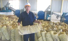 Khánh thành Nhà máy chế biến mủ cao su 25.000 tấn/năm