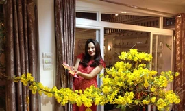 Vũ Thu Phương có bầu vẫn xinh đẹp, rạng rỡ