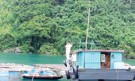 Gặp Robinson tỷ phú ở Vân Đồn