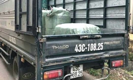 Xe 43C-108.25 chở sụn gân gà bẩn bị Công an bắt giữ sáng 2/12/2017. Ảnh: C.A 