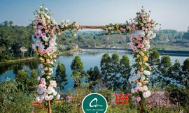 'Đồi hoa gió mùa' đẹp mê hồn ở Tam Đảo