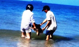 Thả rùa biển quý hiếm nặng 17kg về môi trường đại dương. Ảnh: Chi cục TS TT.Huế