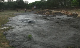 Công ty CP thức ăn chăn nuôi Thái Dương xả thải không qua xử lý ra môi trường.