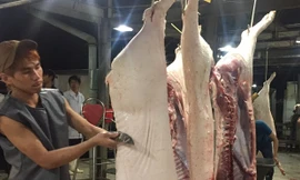 Heo miền Tây nhưng gắn vòng truy xuất nguồn gốc từ miền Đông