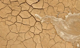 Xanh hoá sa mạc nhờ siêu công nghệ chế tạo nước và canh tác khô