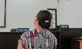 Đề nghị truy tố vợ chồng thư ký TAND TPHCM tội lừa đảo