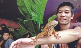 Ông chủ quán Pet Cafe và chú rồng Nam Mỹ vàng