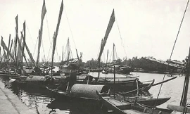 Cảm tử vận tải biển