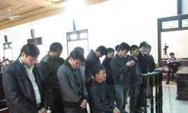 Cựu Trưởng ban Quản lý rừng lĩnh 12 năm tù