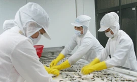 Nhiều doanh nghiệp Nhật muốn đầu tư vào Việt Nam