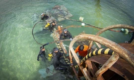 Dự án cấp điện bằng cáp ngầm xuyên biển cho xã đảo Nhơn Châu có tổng mức đầu tư gần 351,5 tỷ đồng (trong đó vốn do EU tài trợ 280 tỷ đồng, còn lại là vốn đối ứng của EVNCPC).