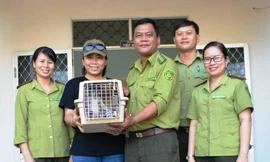 Người dân tự nguyện giao nộp cá thể động vật hoang dã quý hiểm cho Kiểm lâm tỉnh Bình Định.