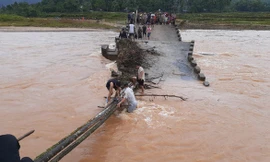 Cầu sập, người dân phải bắt cây qua sông.