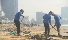 Hơn 1000 đoàn viên thanh niên và người dân trên địa bàn TP Quy Nhơn (Bình Định) đã ra quân dọn dẹp bãi biển sau bão, cơn bão số 5. Ảnh: Tr.Định