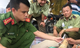 Lô ngà voi bị lực lương chức năng phát hiện tại Bình Định.