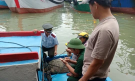 Ngành chức năng tiến hành thả con vích về biển.