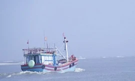 Đã liên lạc được với tàu cá Bình Định mất tích nhiều ngày trên biển. Ảnh minh họa
