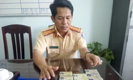 Những chiếc bằng lái xe được làm giả như thật.