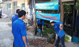 Tuổi trẻ Bình Định đồng loạt ra quân “Ngày Chủ nhật xanh” lần thứ 2 năm 2020.