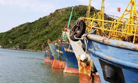 Nhiều tàu vỏ thép trên địa bàn tỉnh Bình Định bị hư hỏng, phải sửa chữa trong thời gian dài.