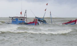 Tàu cá Bình Định bị sóng đánh chìm, 2 thuyền viên mất tích. Ảnh minh họa