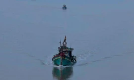 Tìm kiếm ngư dân mất tích trên biển. Ảnh minh họa