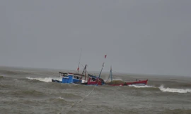Tàu cá bị chìm, 13 ngư dân xuống thuyền thúng chờ cứu nạn suốt đêm. Ảnh minh họa