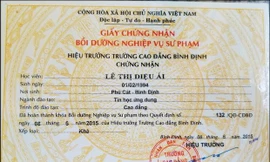 Giấy chứng nhận bồi dưỡng nghiệp vụ sư phạm do Trường CĐ Bình Định cấp không đúng quy định của Bộ GD&ĐT về tiêu chuẩn, điều kiện tham gia dự tuyển viên chức ngành giáo dục.