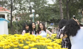 Người dân nô nức đi chợ hoa Tết.