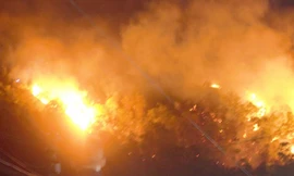 Hiện trường vụ cháy rừng trên núi Bà Hỏa ở TP Quy Nhơn, Bình Định. Ảnh: VTC News