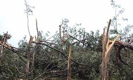 Ba phút phá 30 năm