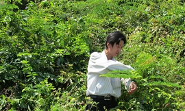 Dân cần, cơ quan chưa vội?