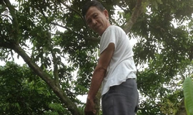 Có không sự bao che cho tội phạm lộng hành miền quê?