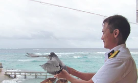 Kiên quyết phản đối Trung Quốc vi phạm chủ quyền Việt Nam