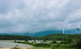 Tập đoàn Gelex hoàn thành vận hành thương mại 140 MW điện gió