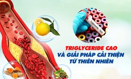 Triglyceride cao và giải pháp cải thiện từ thiên nhiên 