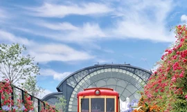 Sau một ngày trải nghiệm cáp treo Fansipan và tàu hỏa leo núi, du khách hiện vẫn đang thiếu chỗ giải trí buổi tối