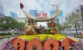 Nova Group tài trợ đường hoa tại TP.HCM, Phan Thiết và Biên Hòa